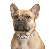 Red White & Blue Paw Print Clip-on Pet Collar