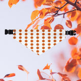 Halloween pumkin pet collar and bandana