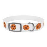 Dog Collar