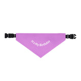 Pet Bandana Collar