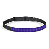 Purple Starburst Clip-On Pet Collar — Adjustable Decorative Dog Collar