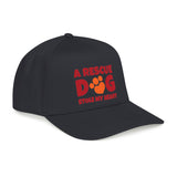 Adopt a Pet Baseball Cap — Rescue Shelter Support Hat
