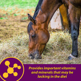 Horse Health Red Cell, Liquid Vitamin-Iron-Mineral Supplement for Horses, Helps Fill Important Nutritional Gaps in Horse's Diet, 1 Gallon, 128 Oz., 64-Day Supply
