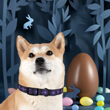 Purple Star Dog Collar — Adjustable Pet Collar with Star Pattern