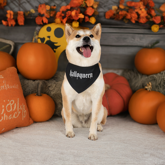 Halloween black pet bandana collar