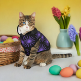 Spring Cat & Dog Pet Hoodie - Festive Easter Design