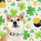 Pet Collar St. Patrick's Clover