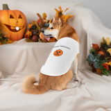 Halloween pumpkin pet tank tops