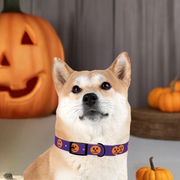 jack-o-lantern print dog collar