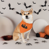 Halloween pet collar and bandana