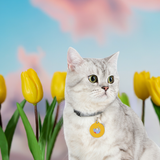 Pet Tag Cat Playing with Yarn Design