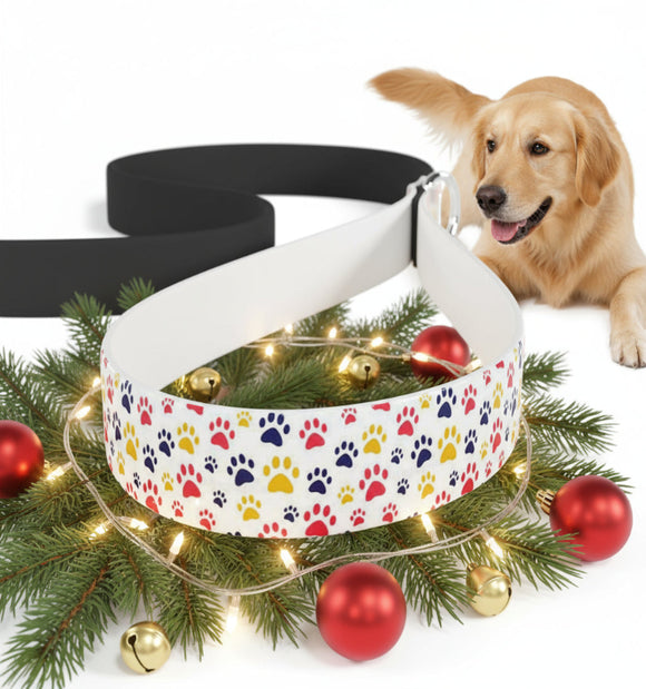 Dog collar with colorful paw prints on a Christmas wreath with lights and ornaments, next to a dog.