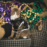 mardi gras pet hoodies