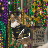 mardi gras pet hoodies