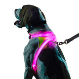 Noxgear LightHound – Revolutionary Illuminated and Reflective Harness for Dogs Including Multicolored LED Fiber Optics (USB Rechargeable, Adjustable, Lightweight, Rainproof) (Small)