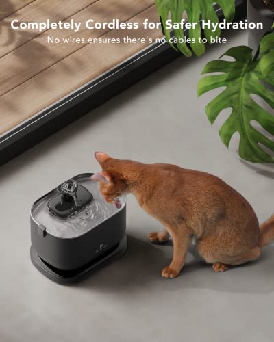 PETLIBRO Battery Operated Cat Water Fountain, 2.5L/84oz Dockstream Wir   Dog Pawshop