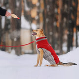 Lelepet Warm Dog Winter Coat Dog Coat Dog Cold Weather Coats Windproof Reflective Turtleneck Dog Fleece Vest with Harness Thick Fleece Dog Jacket Dog Coats for Small Medium Large Dogs, L, Red