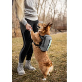 K9 Sport Sack Walk-On | Dog Carrier Dog Backpack with Harness & Storage (Small, Shark Skin Gray)