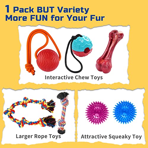 Zeaxuie Heavy Duty Various Dog Chew Toys for Aggressive Chewers