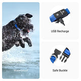 Tractive GPS Pet Tracker with LED Light Up Dog Collar - Waterproof, GPS Location & Smart Activity Tracker, Unlimited Range (Blue, Small)