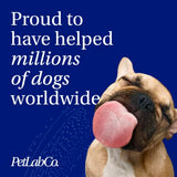 PetLab Co. Dog Dental Formula - Keep Dog Breath Fresh and Teeth Clean - Supports Gum Health - Dog Water Additive Dental Care Targets Tartar - Packaging May Vary