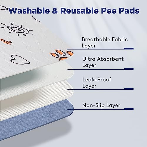 Washable Pee Pads for Dogs, Pack Large 36
