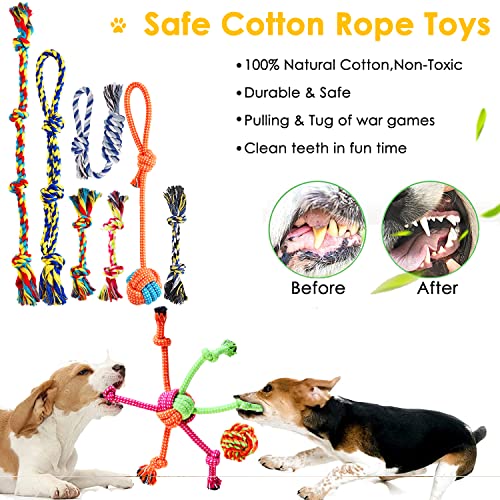 Aipper Dog Puppy Toys 20 Pack, Puppy Chew Toys for Fun and Teeth Cleaning,  Plush Squeaky Toys, Dog Treat Dispenser Ball, Tug of War Toys, Puppy 