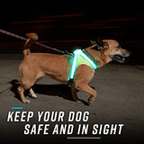 Noxgear LightHound – Revolutionary Illuminated and Reflective Harness for Dogs Including Multicolored LED Fiber Optics (USB Rechargeable, Adjustable, Lightweight, Rainproof) (Small)