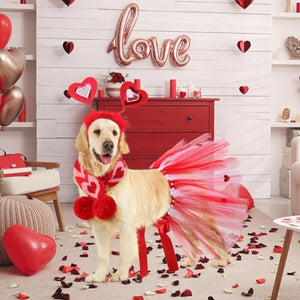 SilTriangle 3 Pieces Valentines Day Dog Costume Set Including Red Vale Dog Pawshop SilTriangle 3 Pieces Valentines Day Dog Costume Set Including Red Vale Dog Pawshop