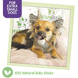 Nature Gnaws Extra Thin Bully Sticks for Dogs - Premium Natural Beef Bones - Long Lasting Dog Chew Treats for Small Dogs & Puppies - Rawhide Free - 6 Inch (25 Count)